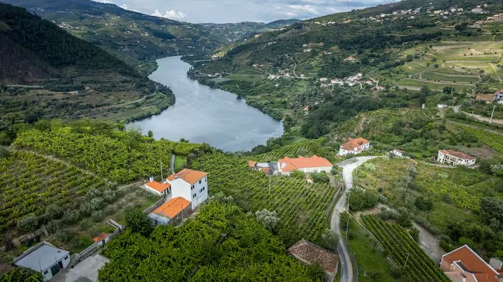 Quinta Barreiro vineyards aerial view
